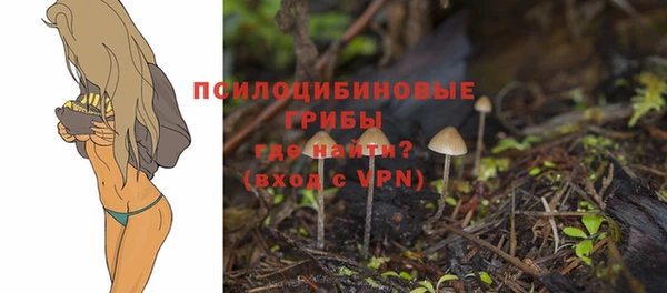 не бодяженный Алзамай
