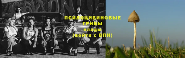 ешки Абаза