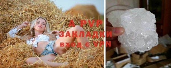 стаф Абдулино