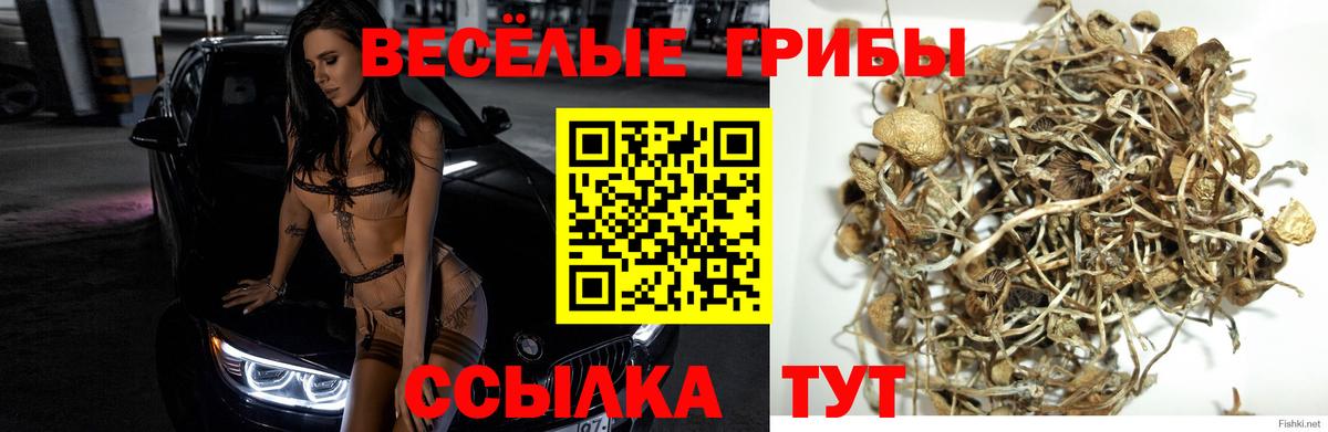 Псилоцибиновые грибы ЛСД Истра