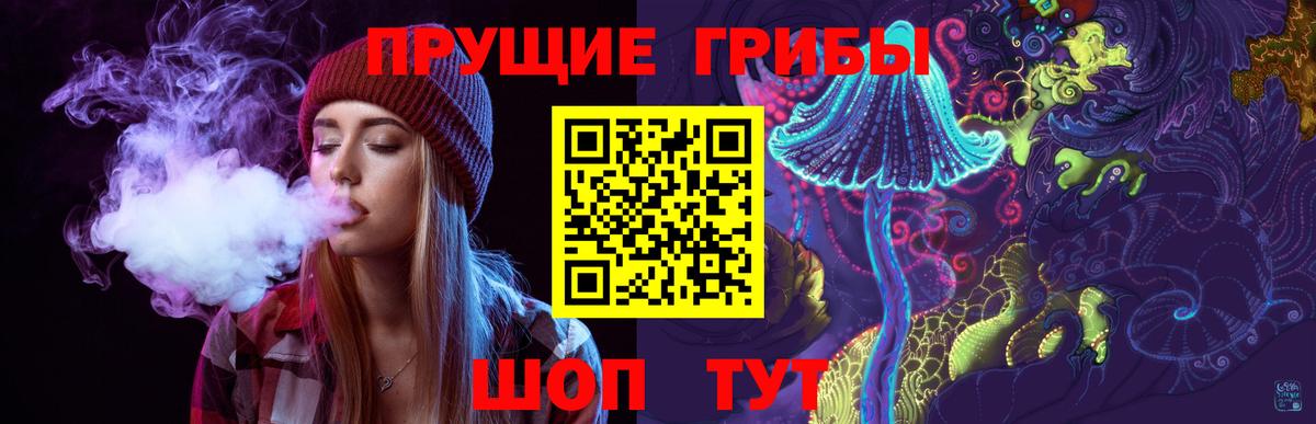 Истра  где найти   Вход с VPN  Псилоцибиновые грибы Psilocybe 